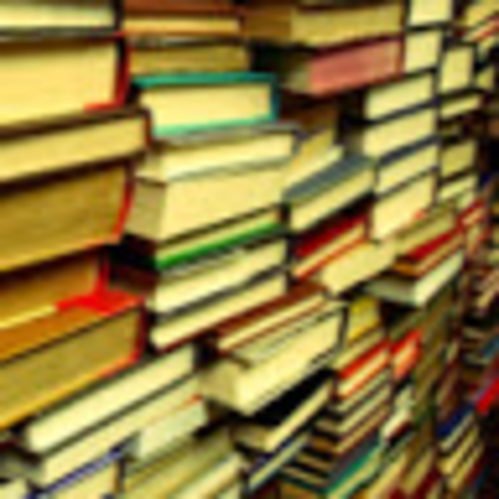 Meet your Posher, Josie